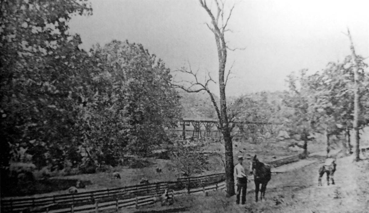 Saw Mill Run Valley looking towards the
Oak Street (Whited Street) viaduct - c1909.