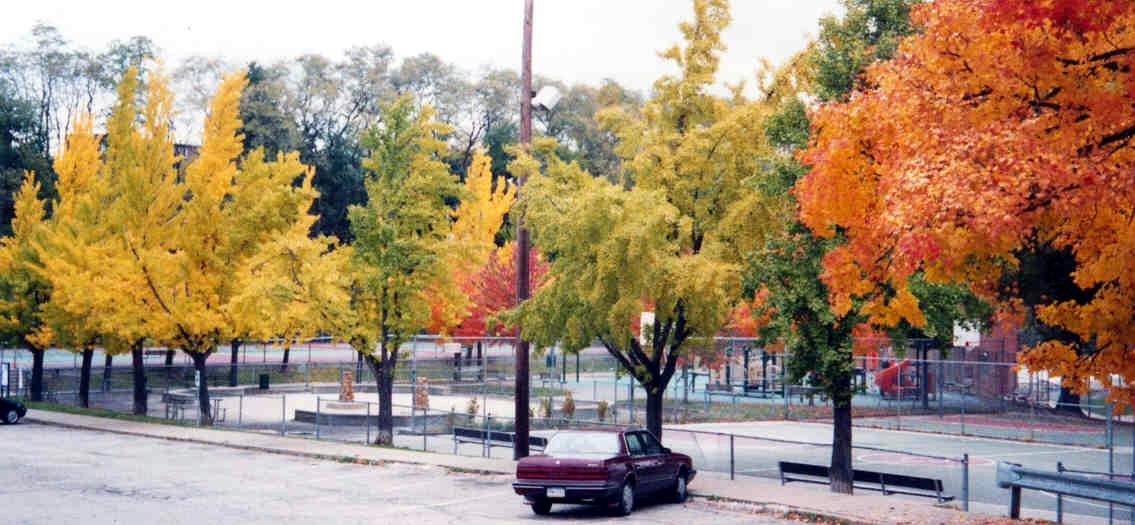Moore Park with fall colors in bloom - 2004