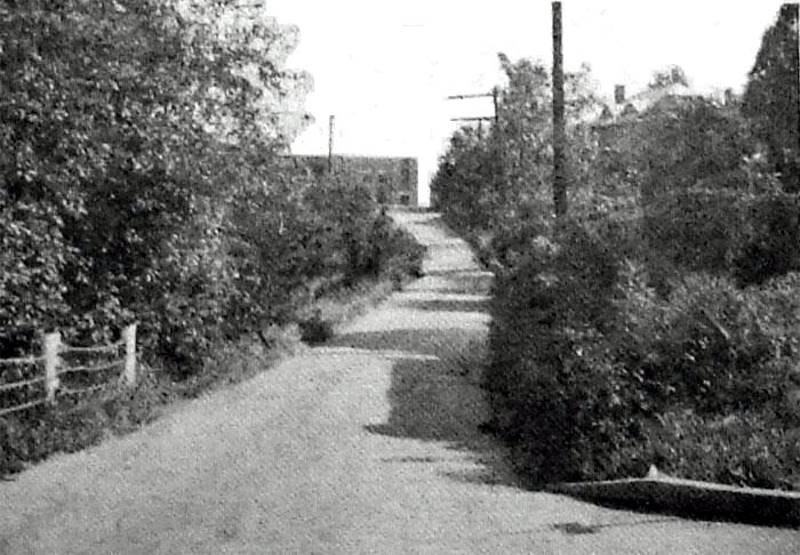 Breining Street, looking from Eben towards Carmalt School - 1953.