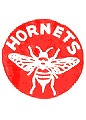 Pittsburgh Hornets