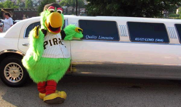 The Pirate Parrot goes first-class all the way.