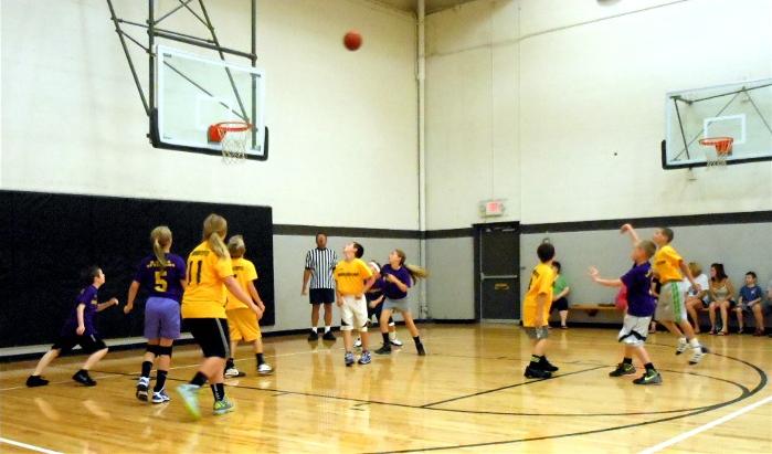 Brookline Basketball